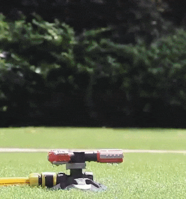4.gif