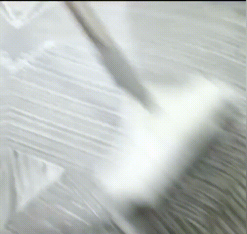 1621046709838433.gif