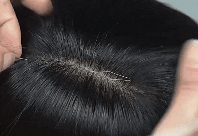 3.gif