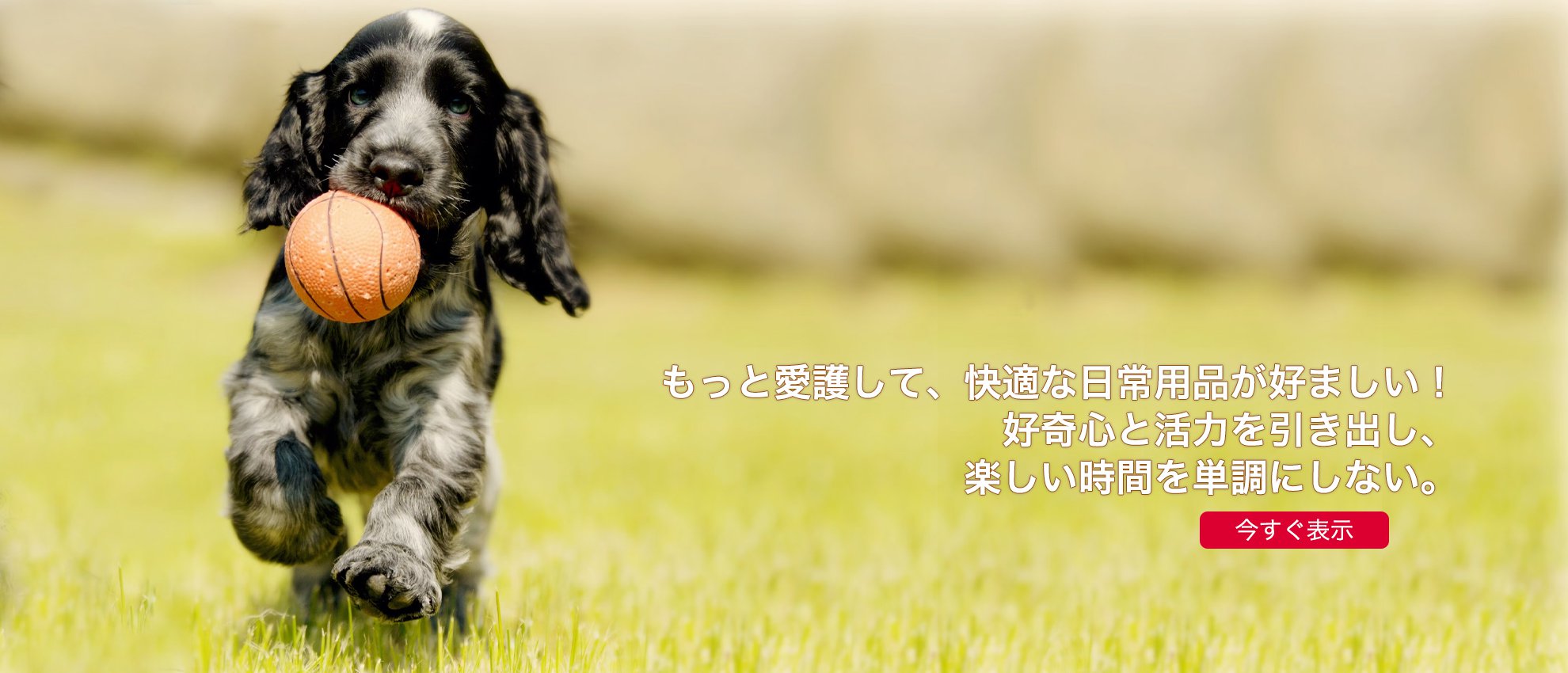 jp-noio オンラインストア