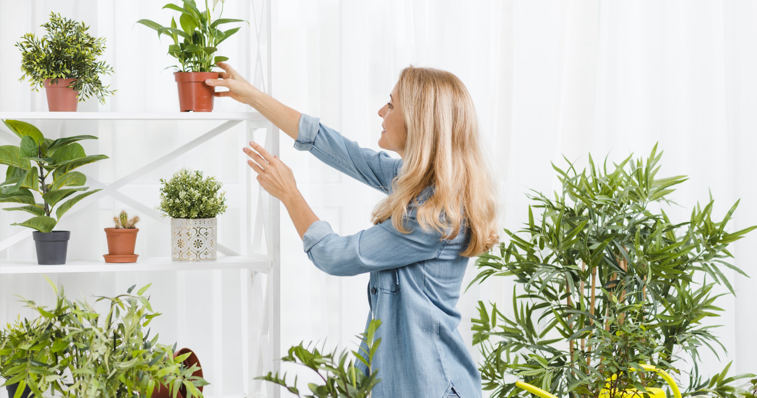 オンラインショップ