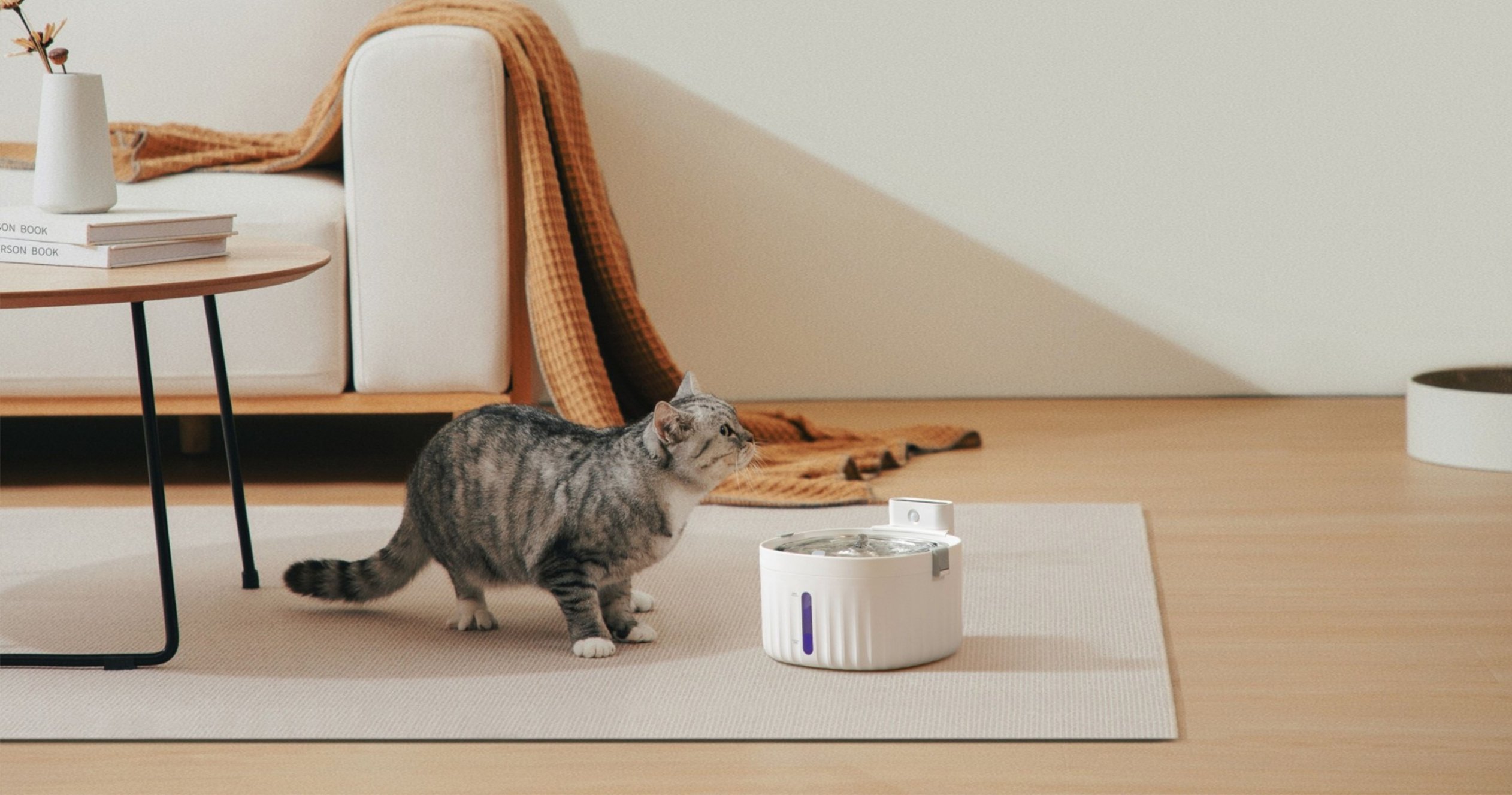 【公式】sakuradeal・オンラインショップ