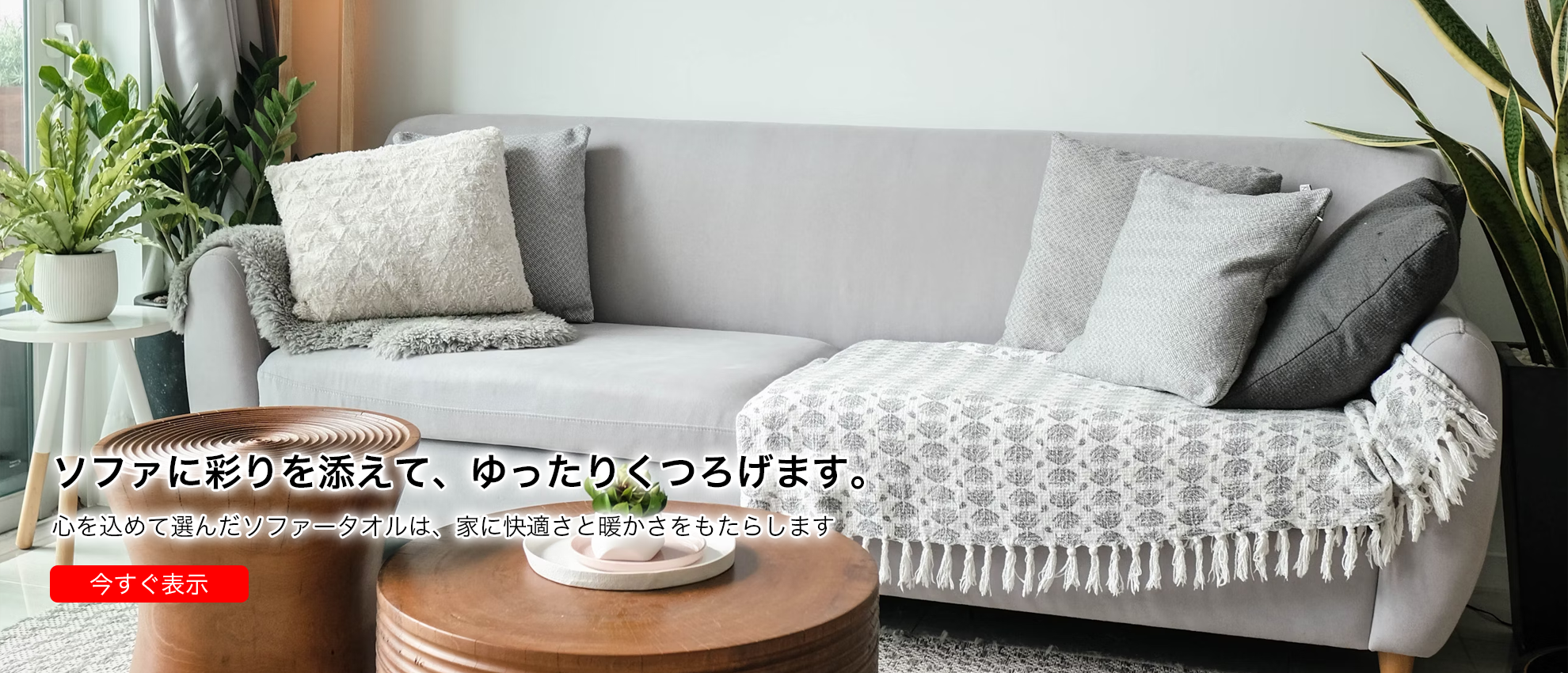 zbclqnl  オンラインストア