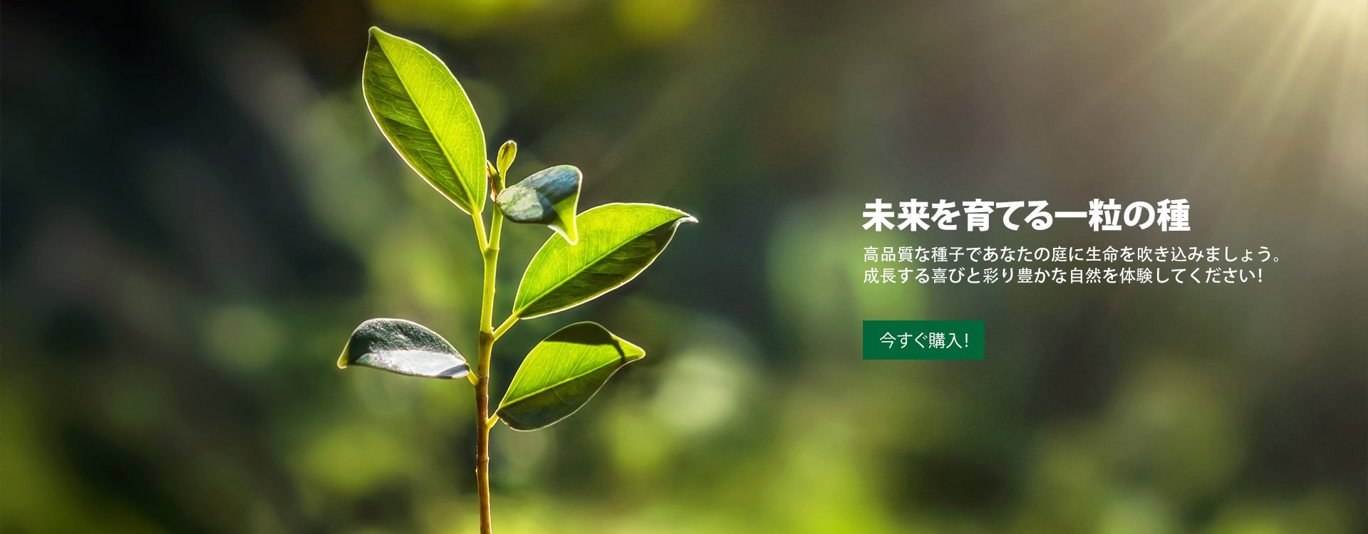 オンラインストア