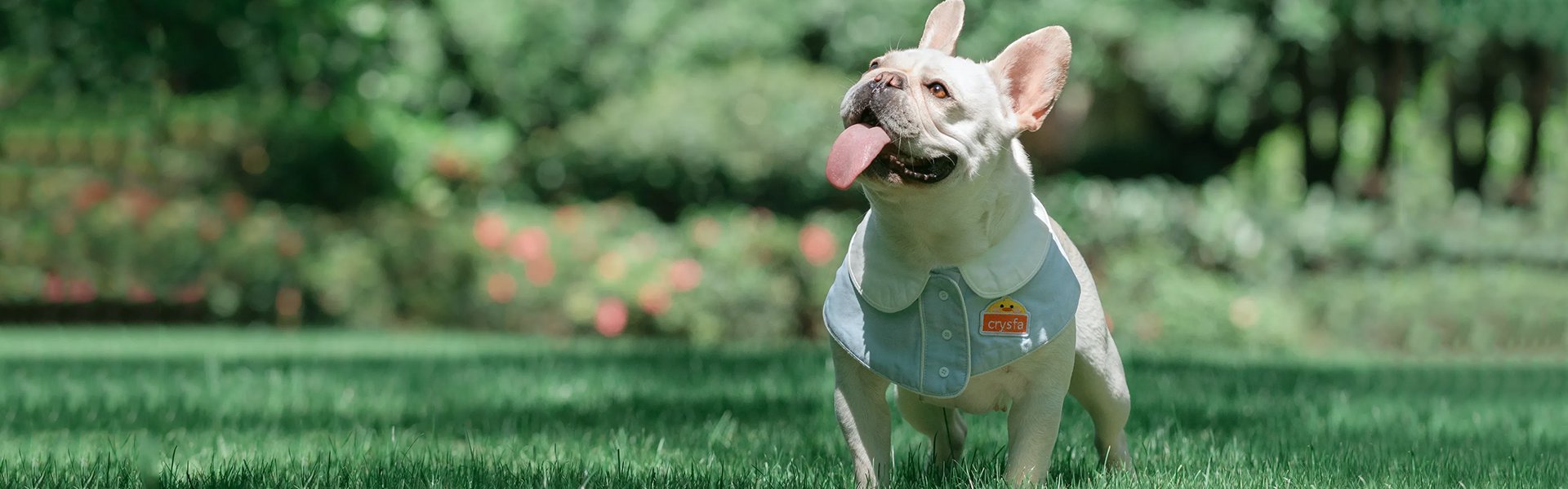 オンラインストア