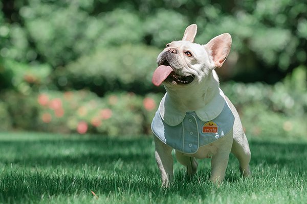 オンラインストア