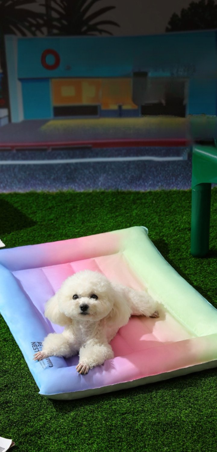 가정에서 꼭 필요한 생활용품 온라인 쇼핑몰 추천,반려동물용품 특가전 – 애견·애묘 필수 아이템 모음,패브릭 홈 데코 – 감각적인 침구·커튼·러그 추천