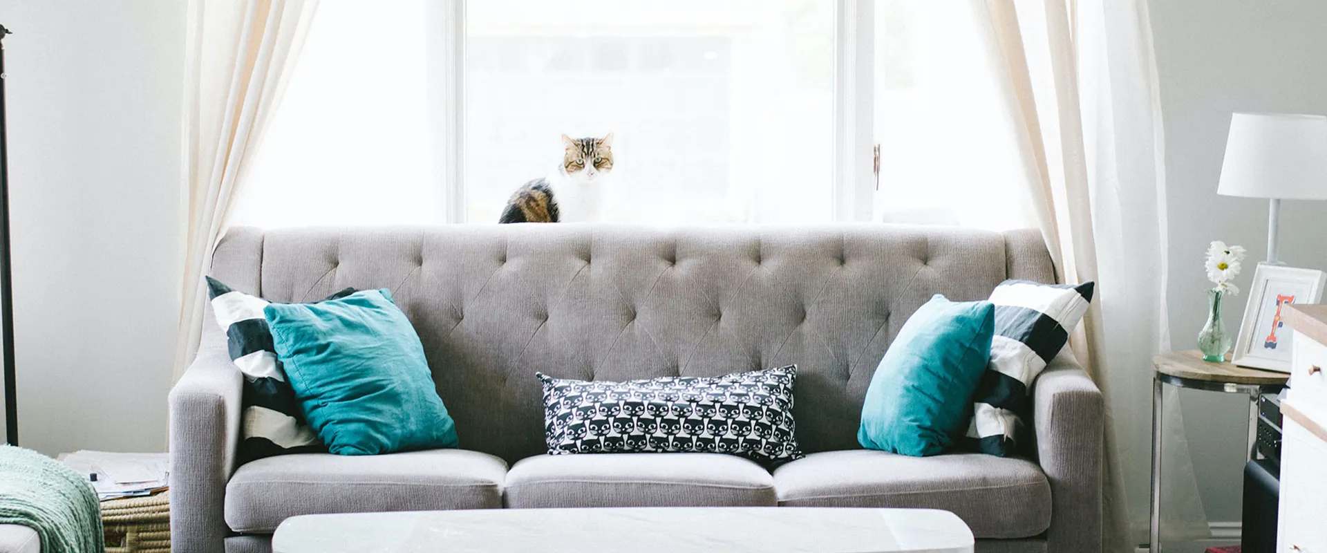 オンラインショッピングモール