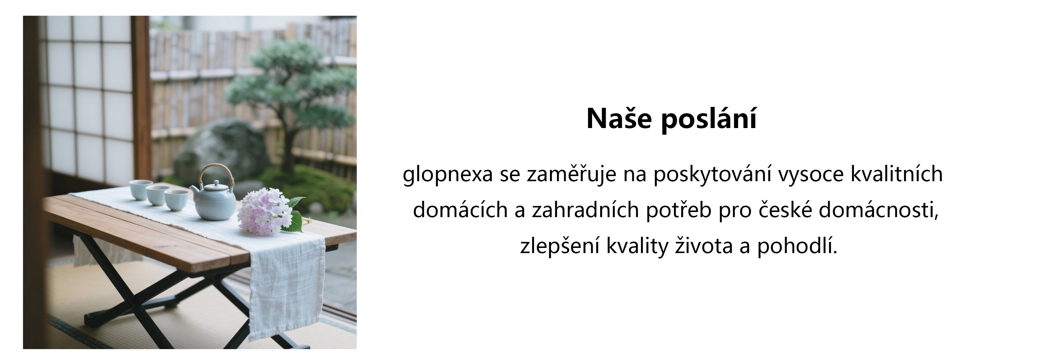 glopnexa.com