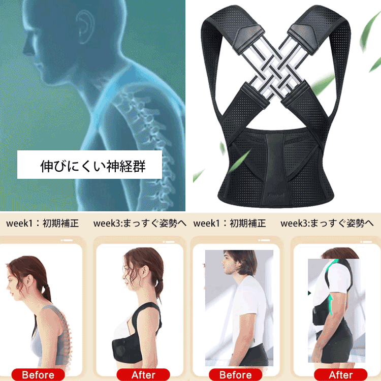【美しい姿勢へ】新型猫背矯正ベルト
