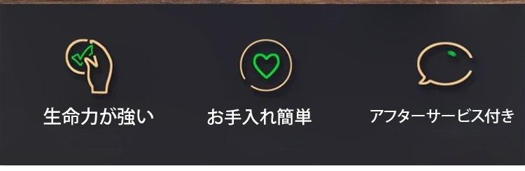 高品質な小葉紫檀の種子パッケージ