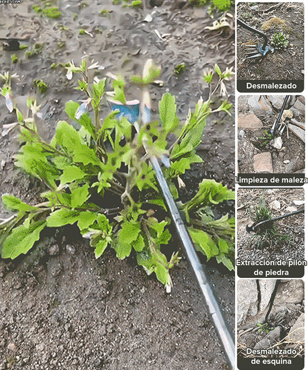 Herramienta Multifuncional para Arrancar Hierba y Airear el Suelo