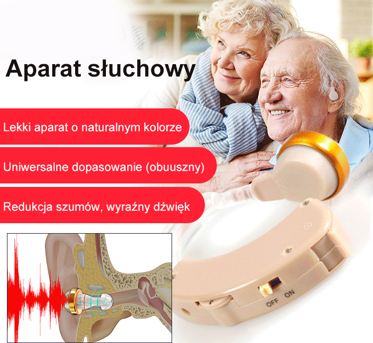 Przenośny aparat słuchowy