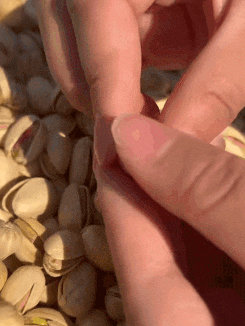 【血糖克星】自然開口大顆粒鹽焗開心果