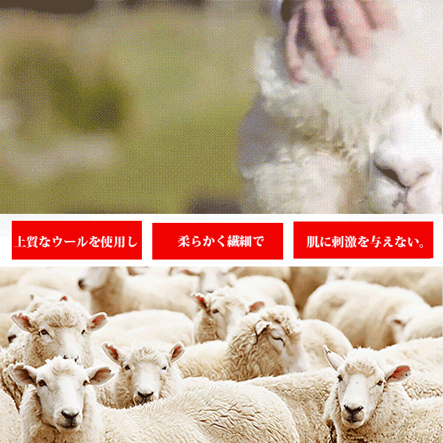 新作のカシミヤニートカーディガン