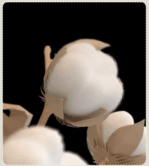 上衣_16.gif