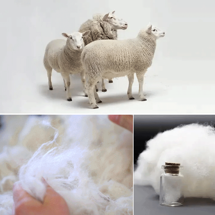 無地スタンドカラーカーディガン