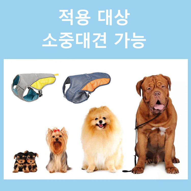 애견 쿨링 조끼 