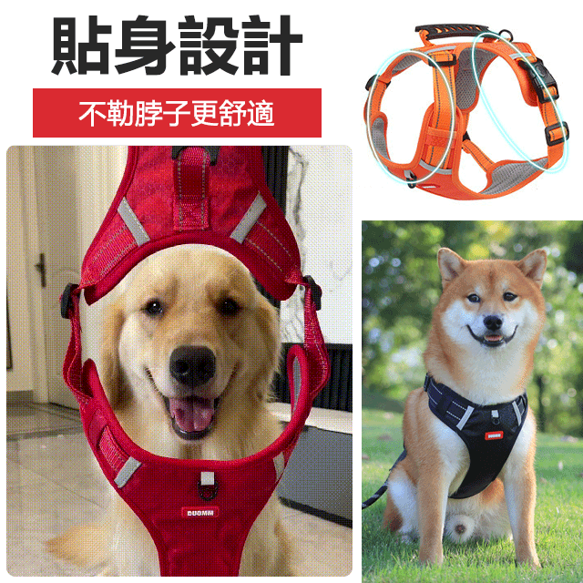 防爆沖寵物胸背帶