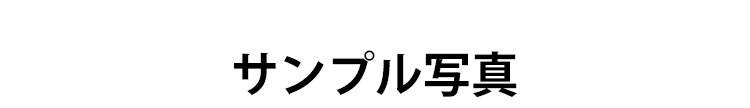 簡単に雑草を除去できるギザ歯式草削り
