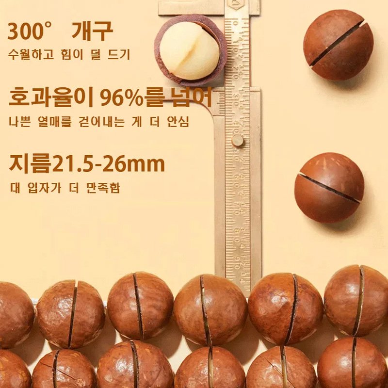 크리미한 마카다미아