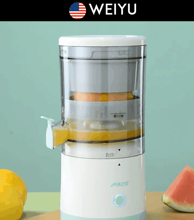 German automatic household electric juicer