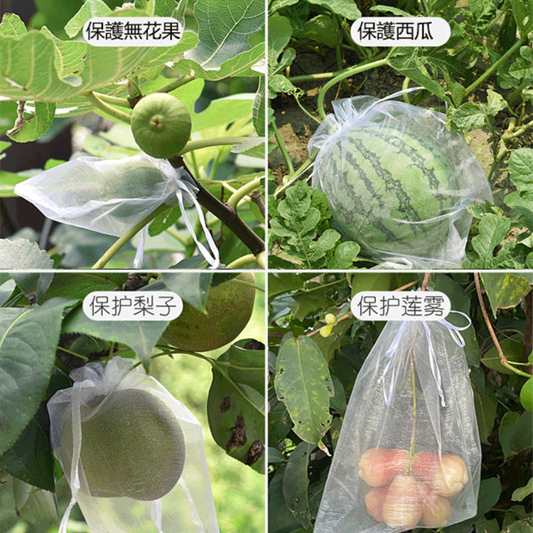 防蟲防鳥瓜果透氣網袋