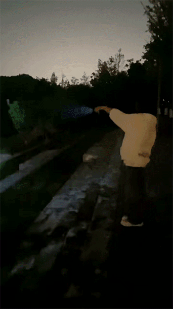 1708328737602.gif
