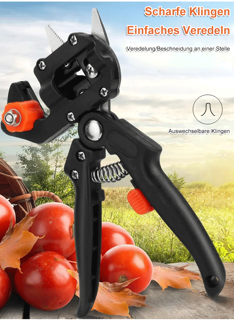 Hochwertiges Gartenwerkzeug für Obstbaum-Veredelung