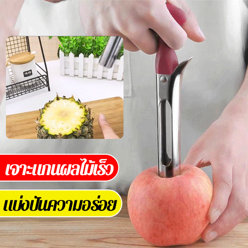 อุปกรณ์สแตนเลสเจาะแกนผลไม้