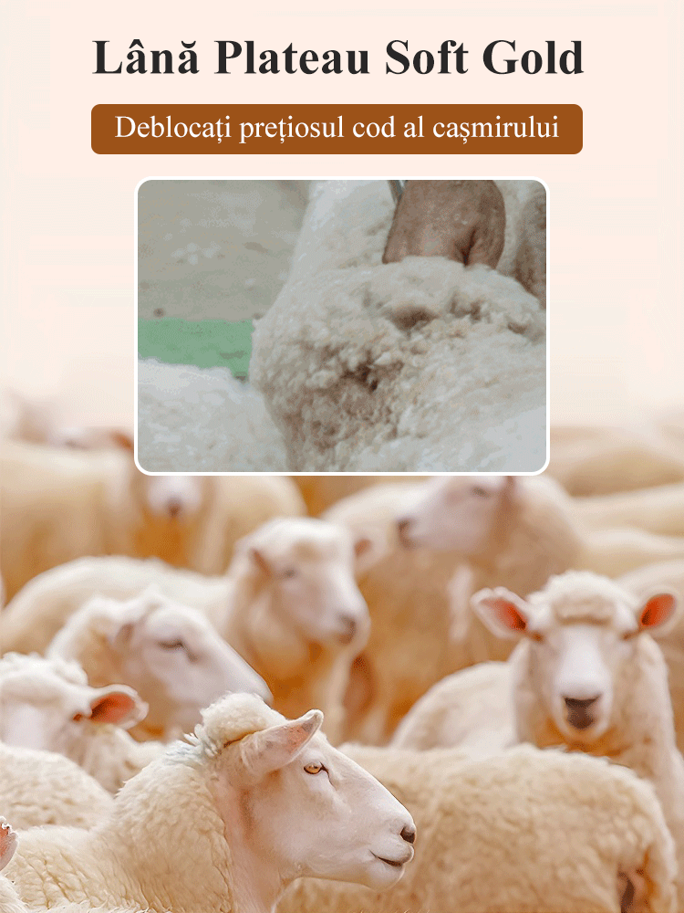 Jachetă scurtă de lână, cu guler de costum de cașmir, pe două fețe