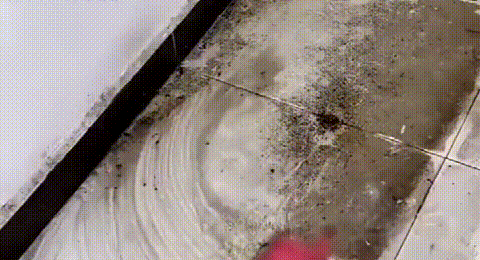 韩语_11-1.gif