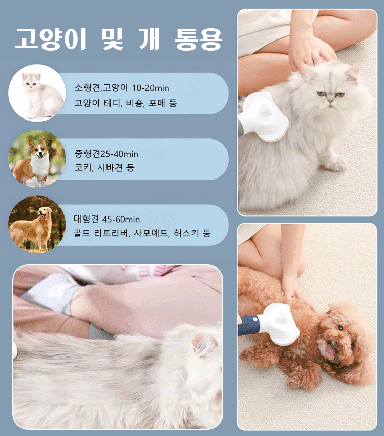 3in1 반려동물 빗드라이기