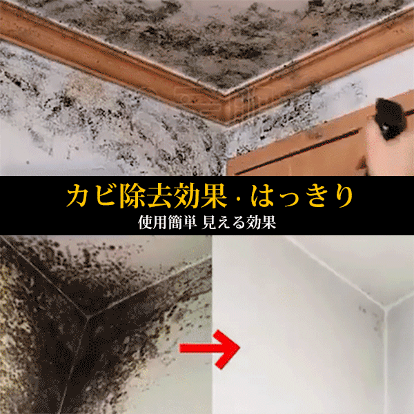 期間限定の2つ購入で1つ無料！(50%オフ+送料無料)【カビ除去剤】15日間無料試用！