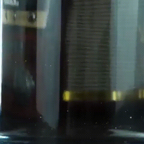 09.gif