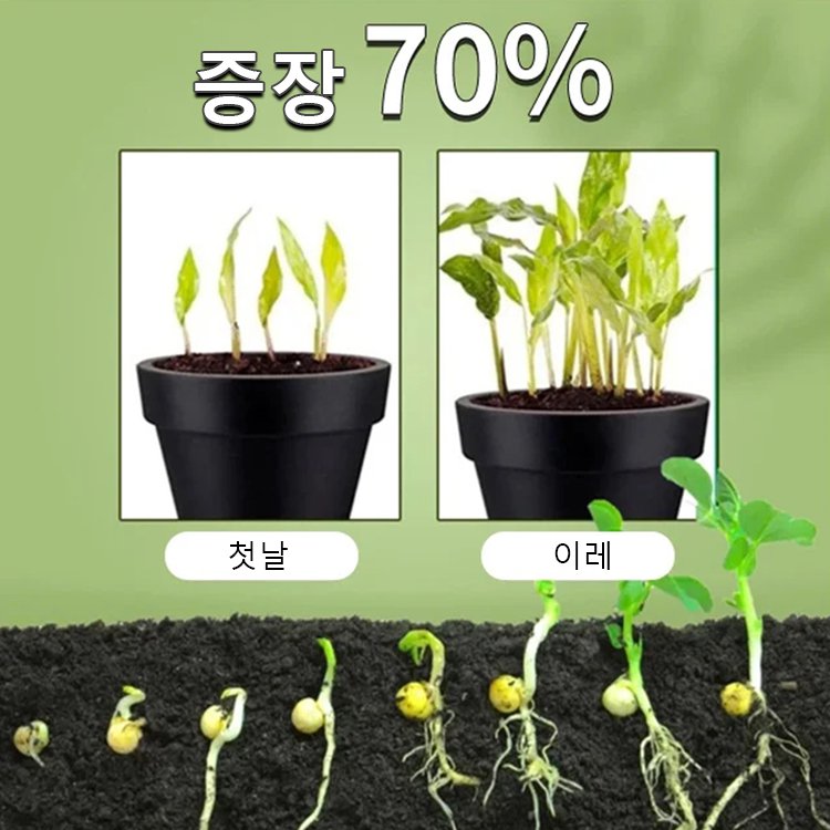 식물 뿌리 영양제