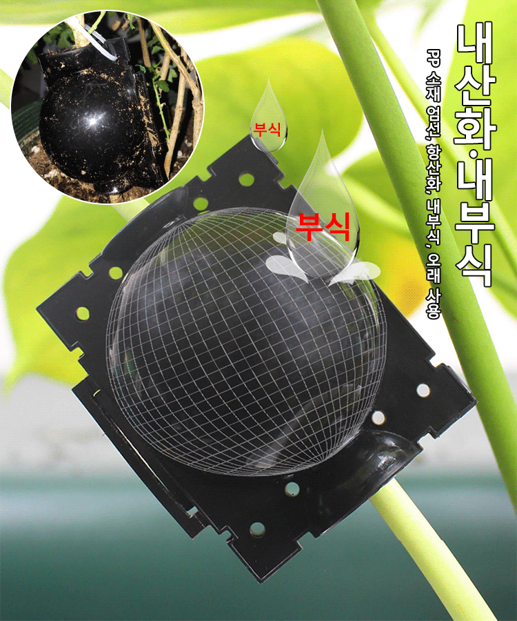 식물 고압 번식 상자