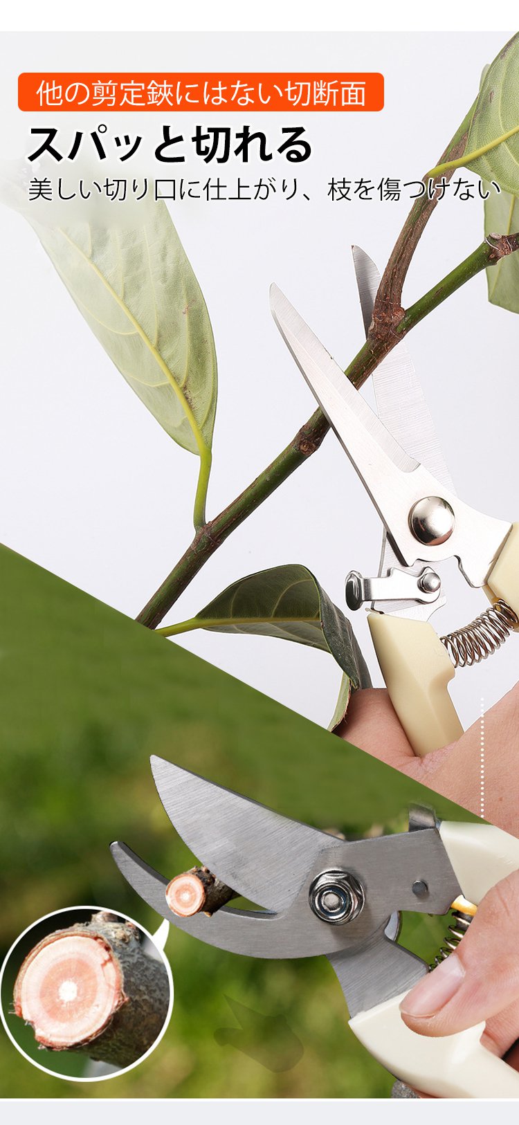 錆びにくいステンレス製剪定バサミ