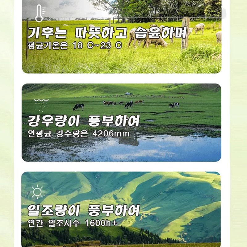  마카다미아 (우유향)