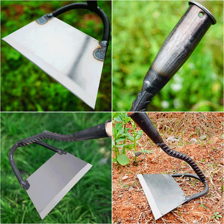 경지제초판강호미