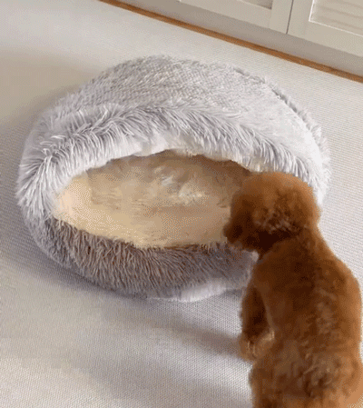 宠物窝_26.gif