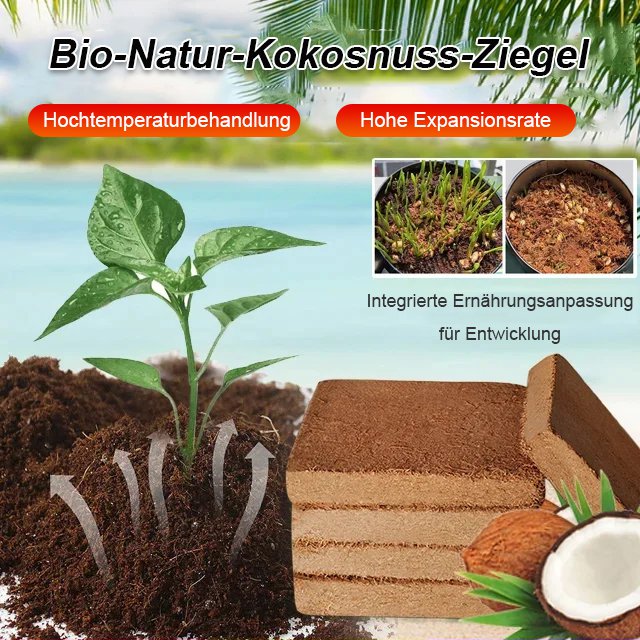 [Organischer natürlicher Kokosnuss-Ziegel]Grüner Pflanzennährboden