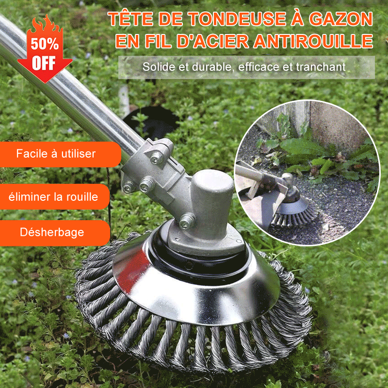 Tondeuse à gazon (tête)