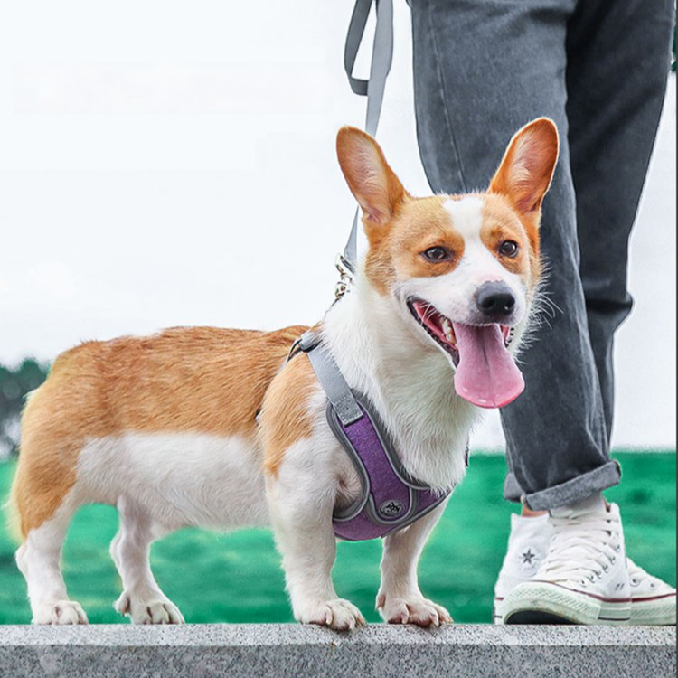 X字胸あて式ハーネス