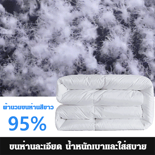 ผ้านวมขนห่านสีขาว 95%