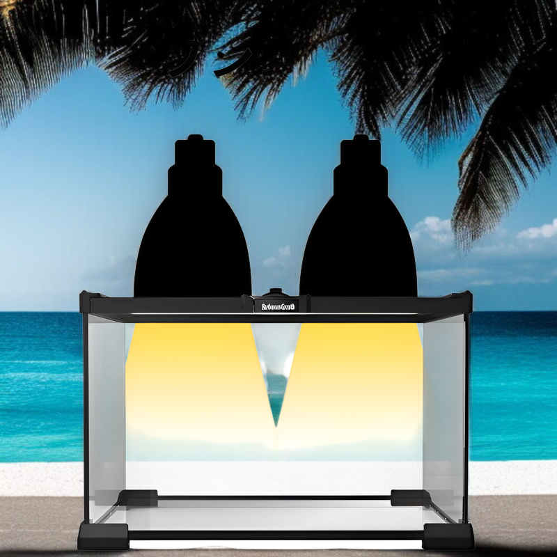 蜥蜴用雨林造景飼育缸