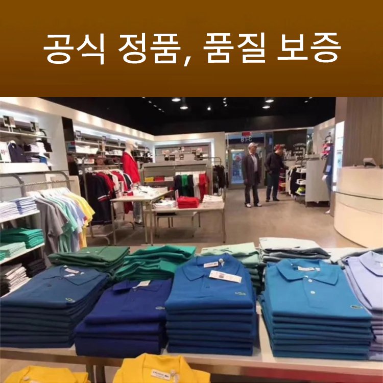 폴로 반팔