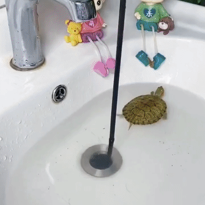 四爪家用下水道疏通器