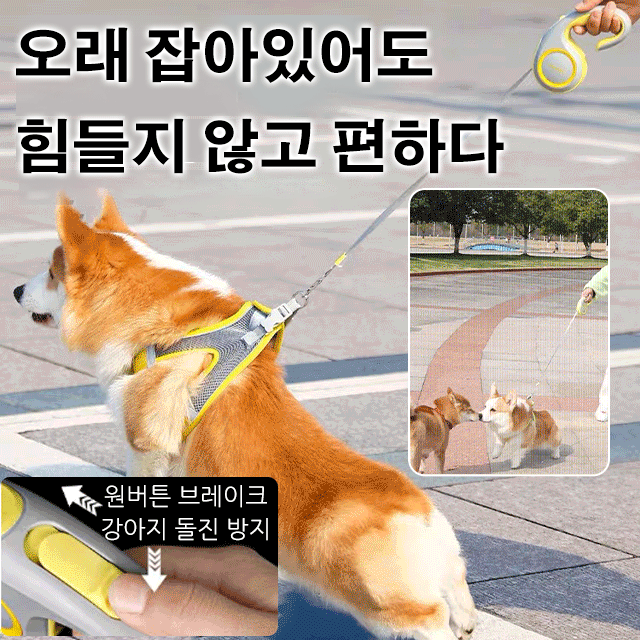 애완동물용 자동 신축형 목줄