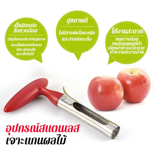 อุปกรณ์สแตนเลสเจาะแกนผลไม้